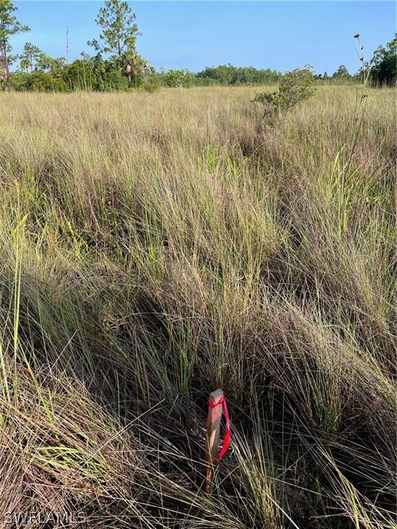 Sr-29 Naples, FL 34117 - Photo 8 of 9 a view of a lake and a mountain