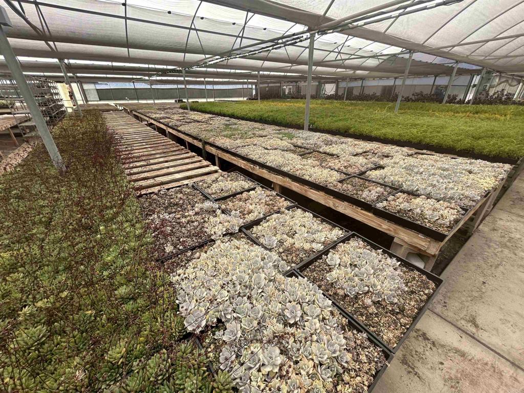 13815 Hilldale Road Valley Center, CA 92082 - Photo 37 of 50 a view of a backyard with a wooden fence