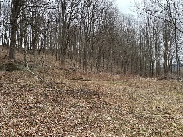 $31,500 | 8399 Highway 7, Maryland, NY 12155