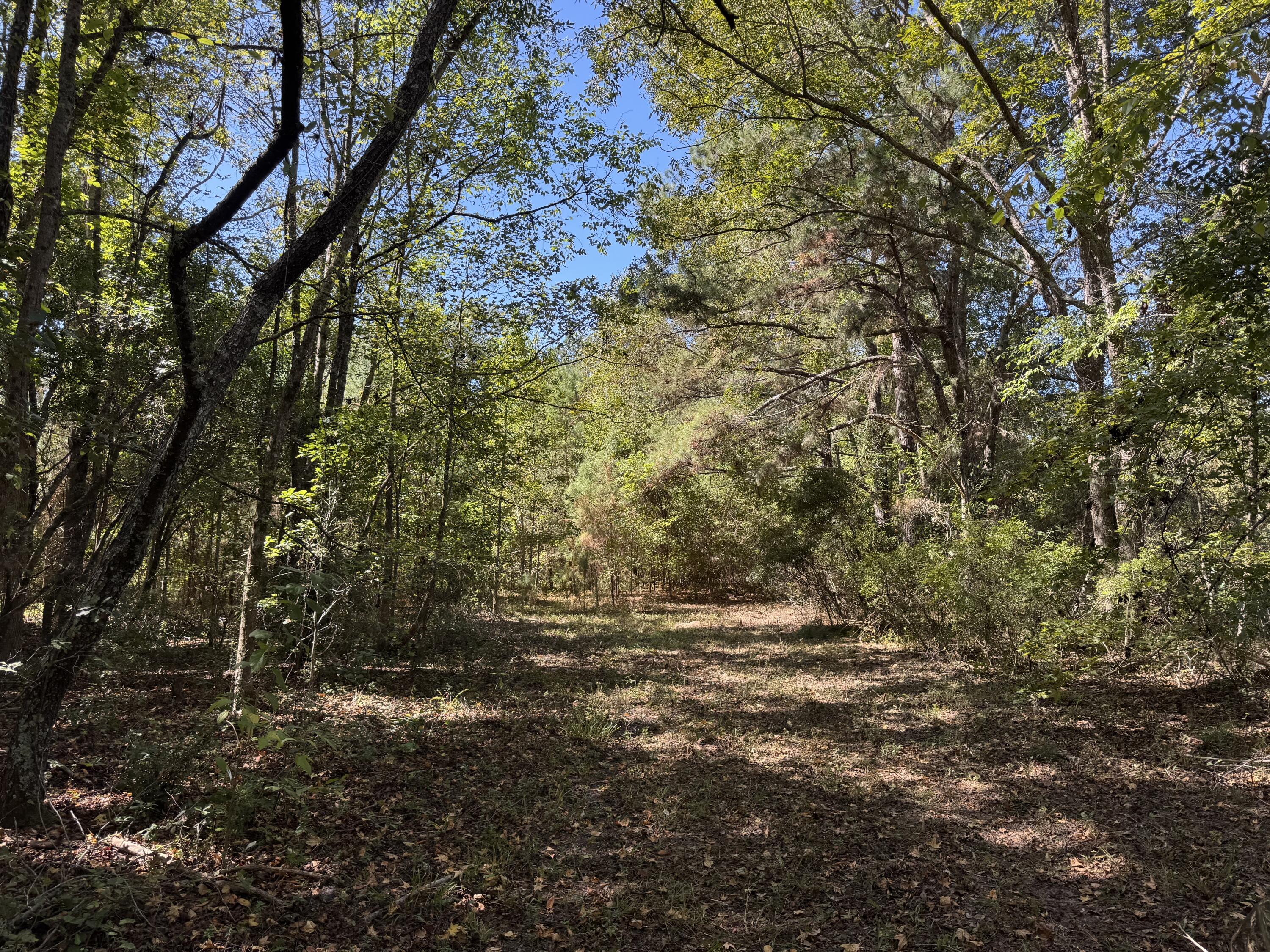 0 Clarks Hill Drive, Unit 1 St. George, SC 29477 - Photo 1 of 5 Lot 1 CHD2