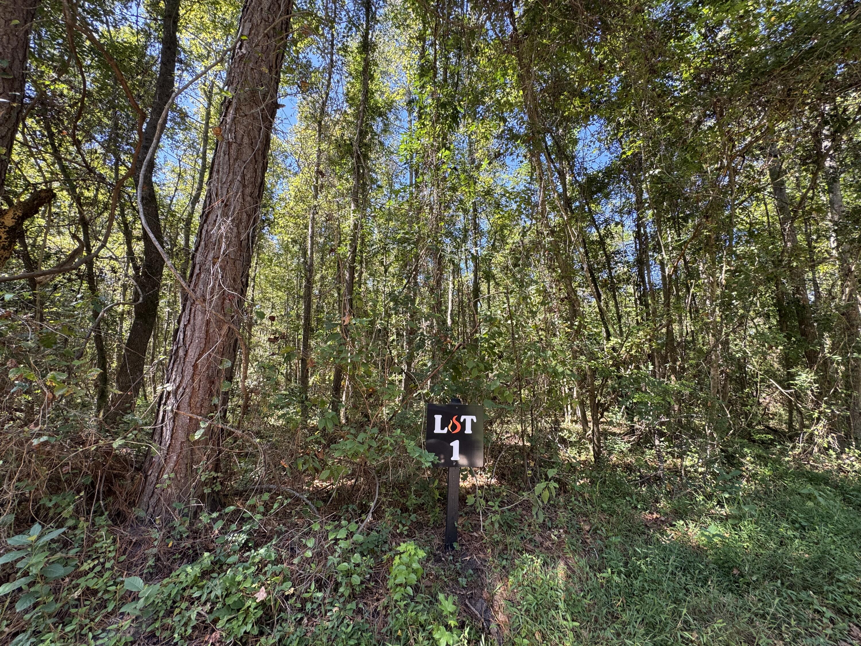 0 Clarks Hill Drive, Unit 1 St. George, SC 29477 - Photo 2 of 5 Lot 1 CHD