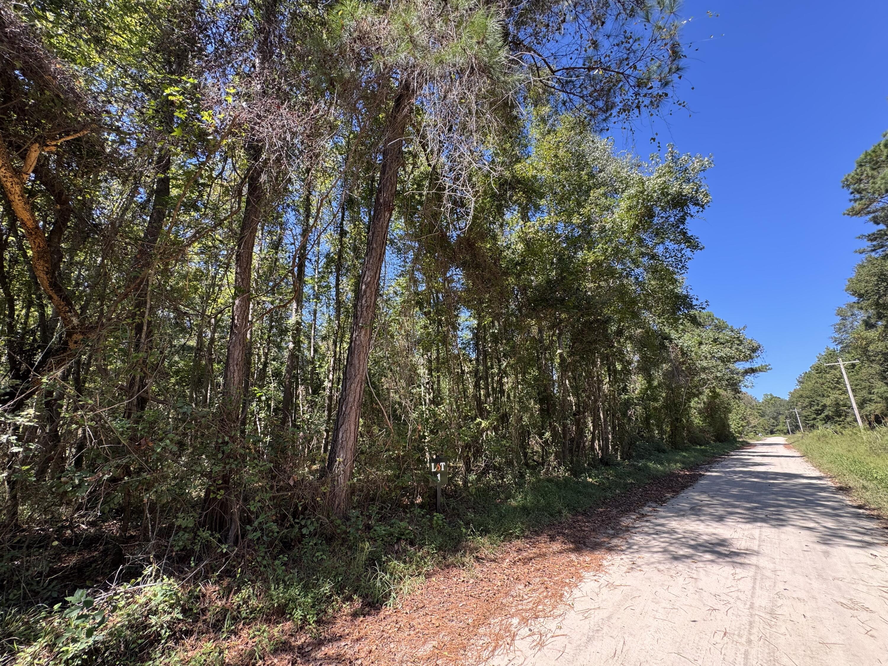 0 Clarks Hill Drive, Unit 1 St. George, SC 29477 - Photo 3 of 5 Lot 1 CHD1