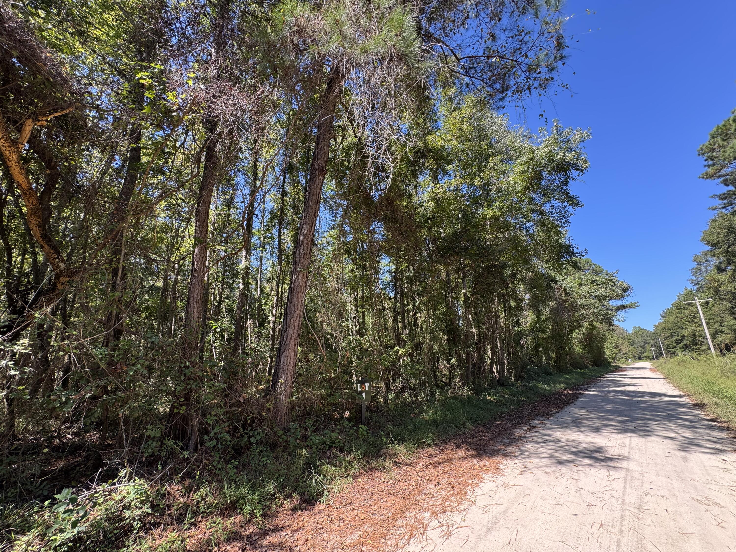 0 Clarks Hill Drive, Unit 1 St. George, SC 29477 - Photo 4 of 5 Lot 1 CHD1