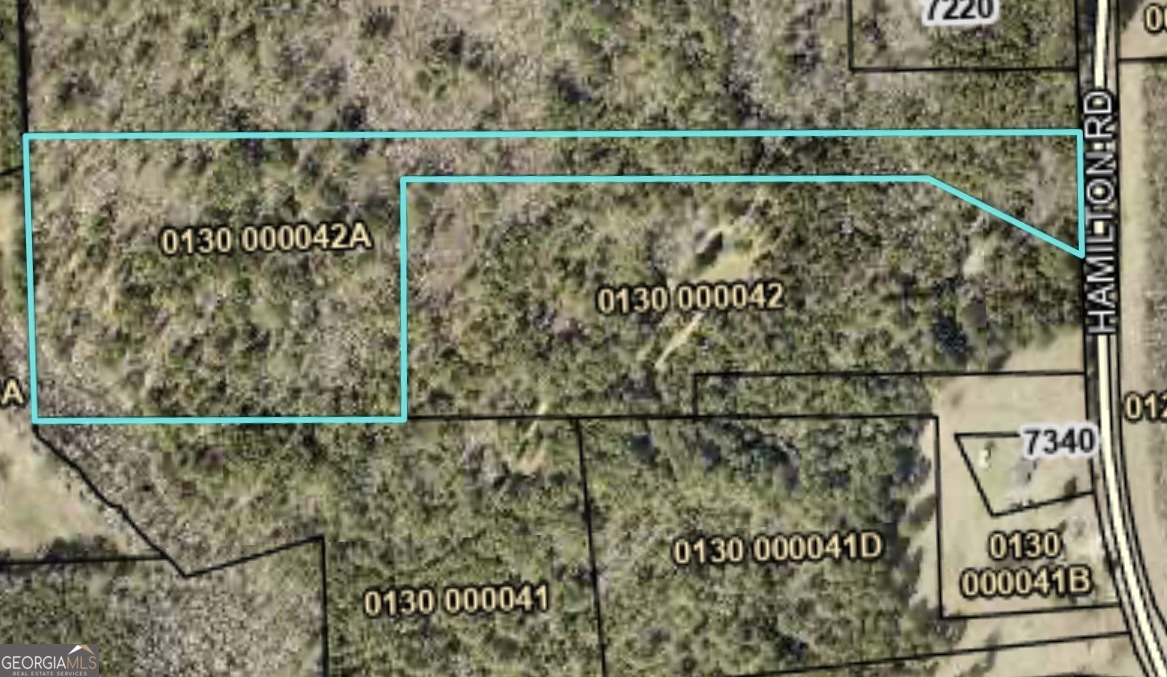 0 Hamilton Road Pine Mountain, GA 31822 - Photo 4 of 4