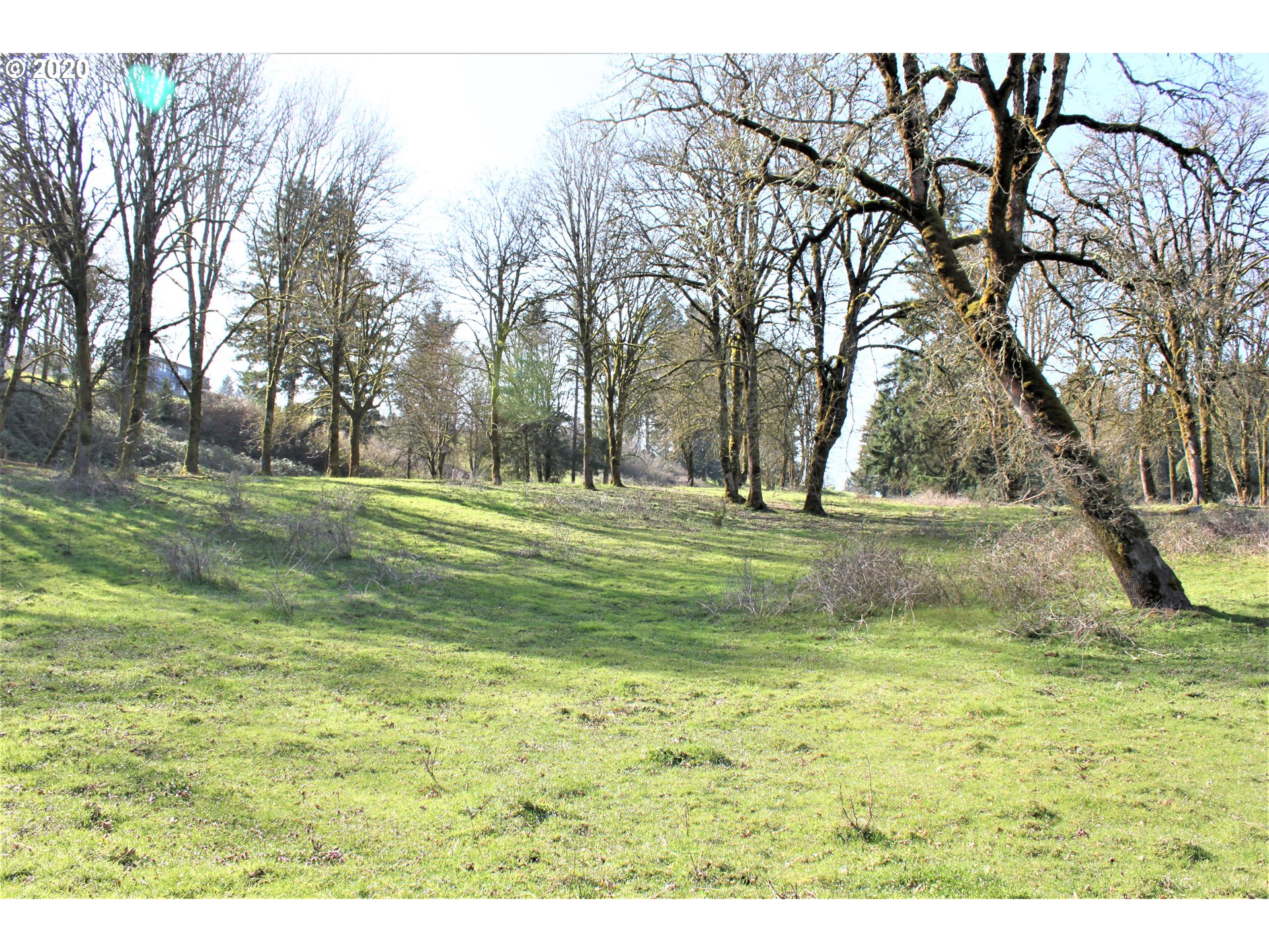 13009 South Casto Road Oregon City, OR 97045 - Photo 3 of 9
