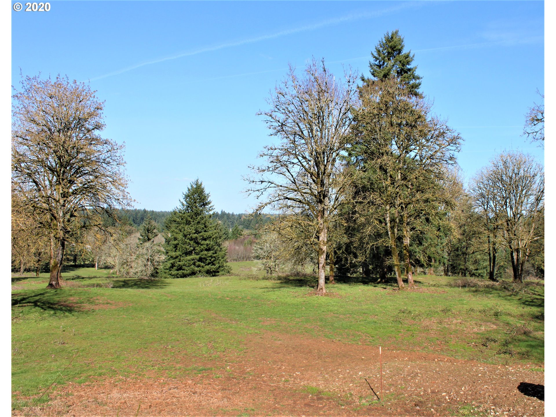 13009 South Casto Road Oregon City, OR 97045 - Photo 4 of 9