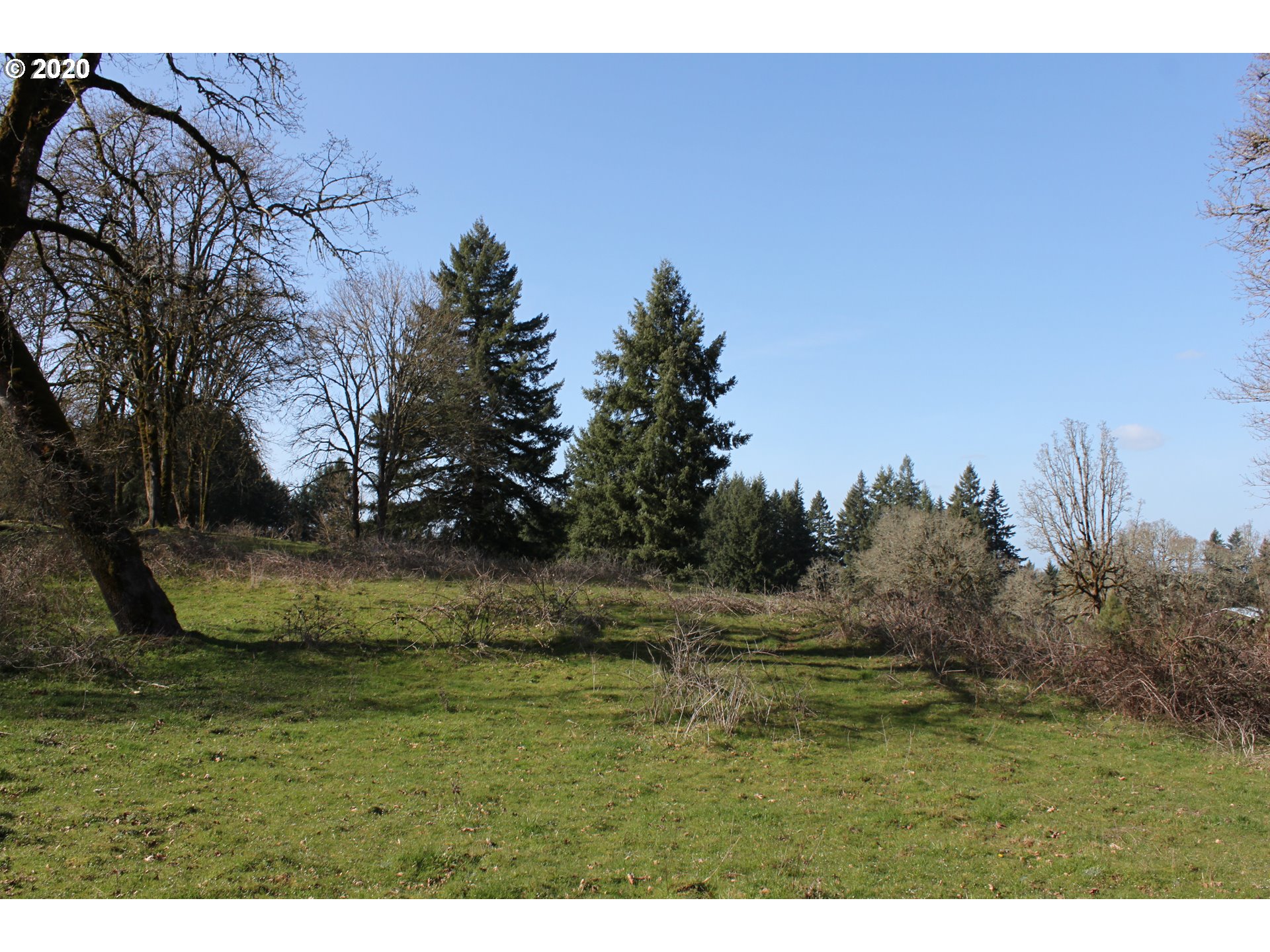 13009 South Casto Road Oregon City, OR 97045 - Photo 5 of 9