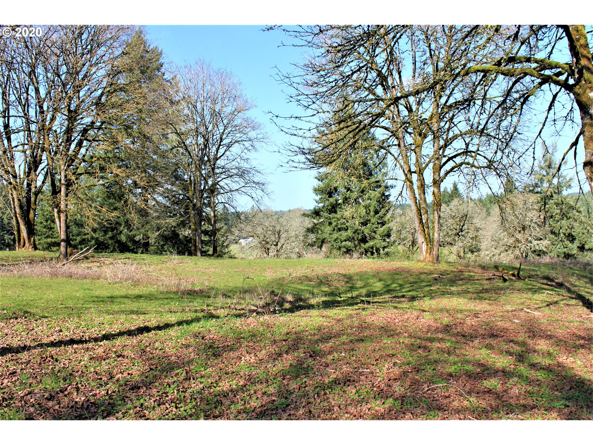 13009 South Casto Road Oregon City, OR 97045 - Photo 6 of 9