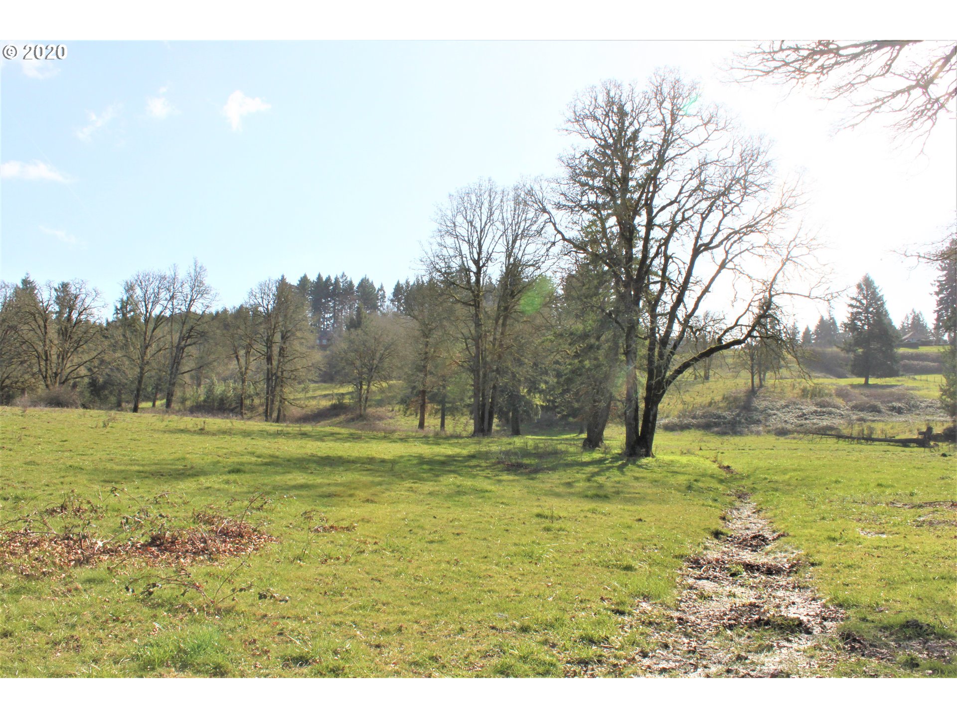 13009 South Casto Road Oregon City, OR 97045 - Photo 7 of 9