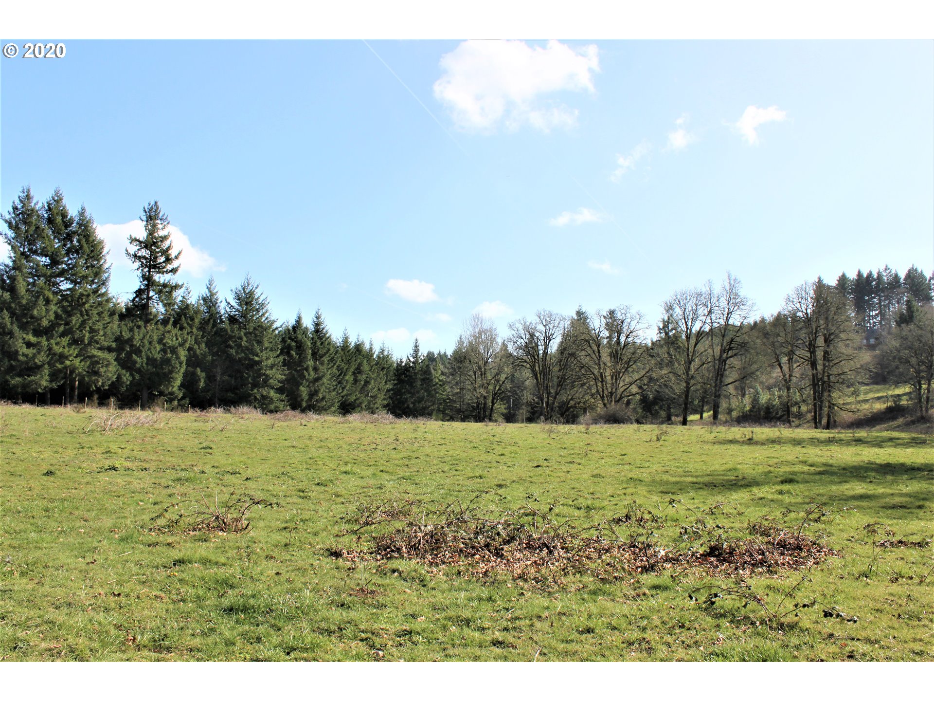 13009 South Casto Road Oregon City, OR 97045 - Photo 8 of 9