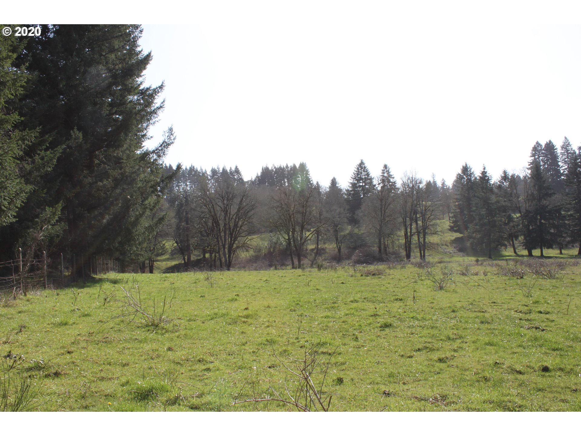 13009 South Casto Road Oregon City, OR 97045 - Photo 9 of 9