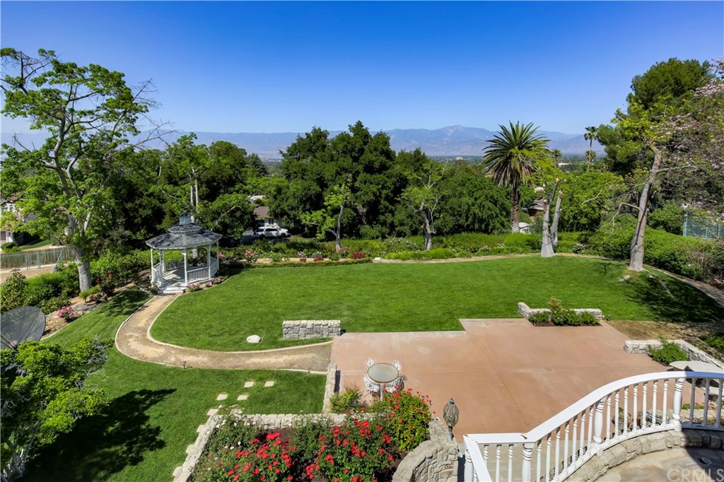 1632 Smiley Heights Drive Redlands, CA 92373 - Photo 46 of 75 a view of a swimming pool and trees in the background