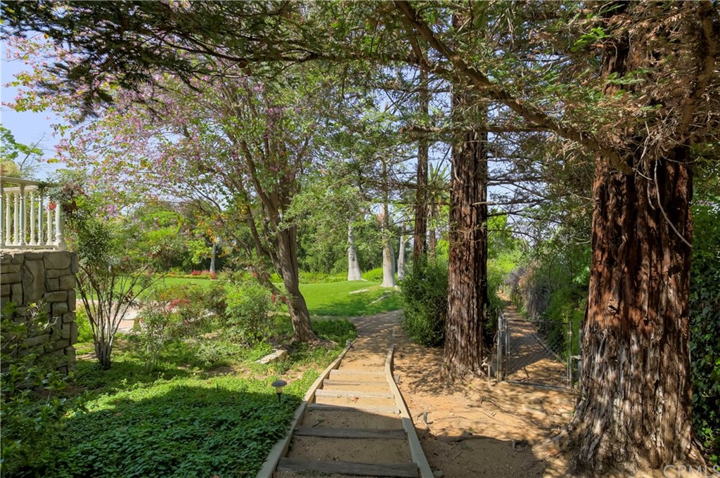 1632 Smiley Heights Drive Redlands, CA 92373 - Photo 60 of 75 a view of backyard with green space
