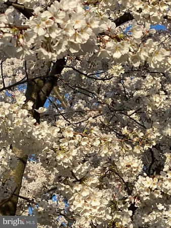 $2,400 | 950 25th Street Northwest, Unit 508N, Washington, DC 20037