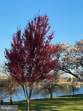 $2,400 | 950 25th Street Northwest, Unit 508N, Washington, DC 20037