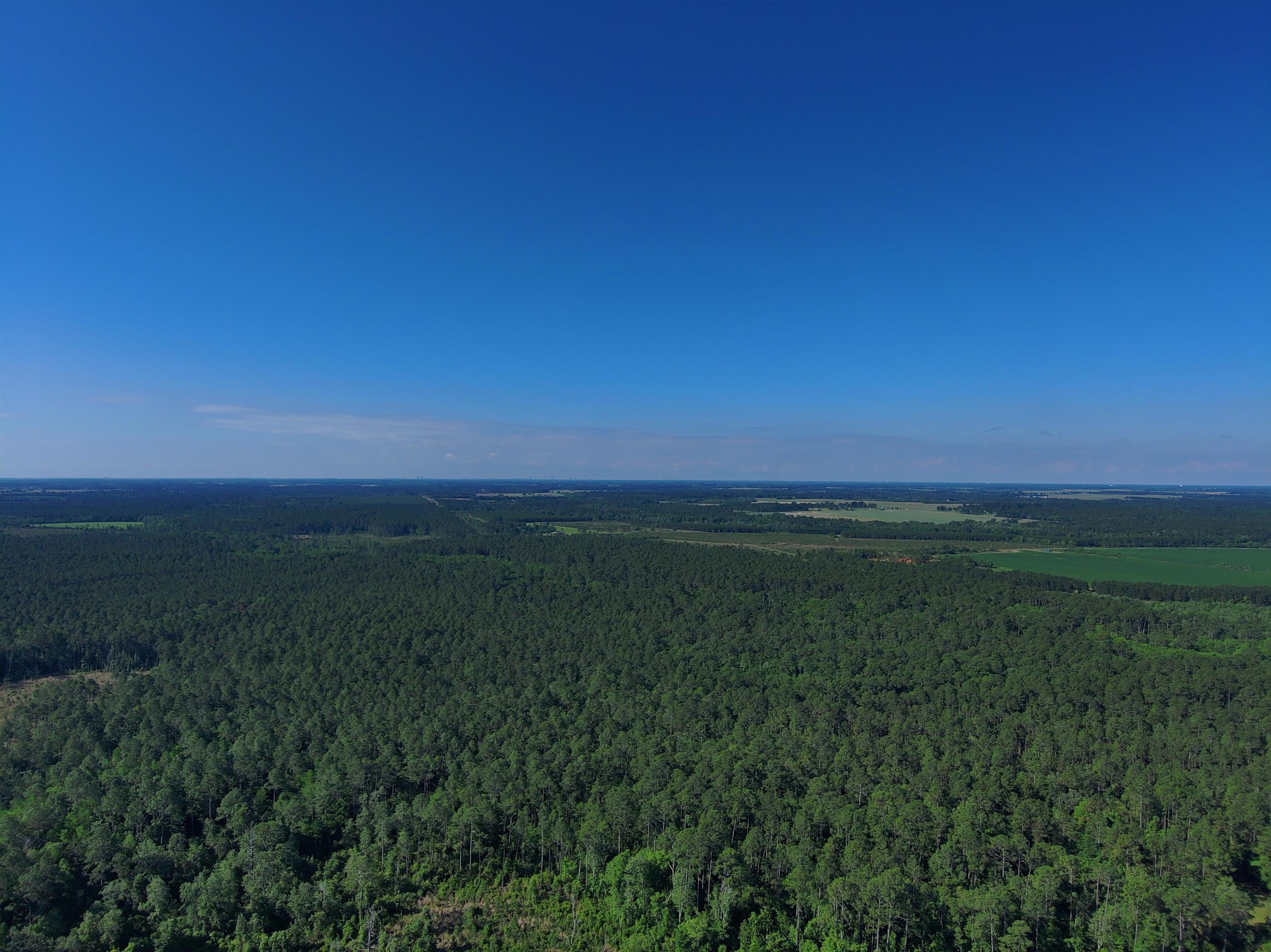 87 County Road 87 Elberta, AL 36530 - Photo 46 of 66