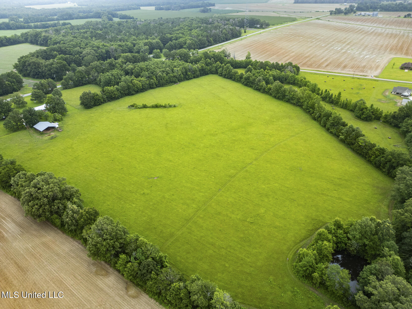 Ms-481 Pelahatchie, MS 39145 - Photo 7 of 9 26 acre tract-5