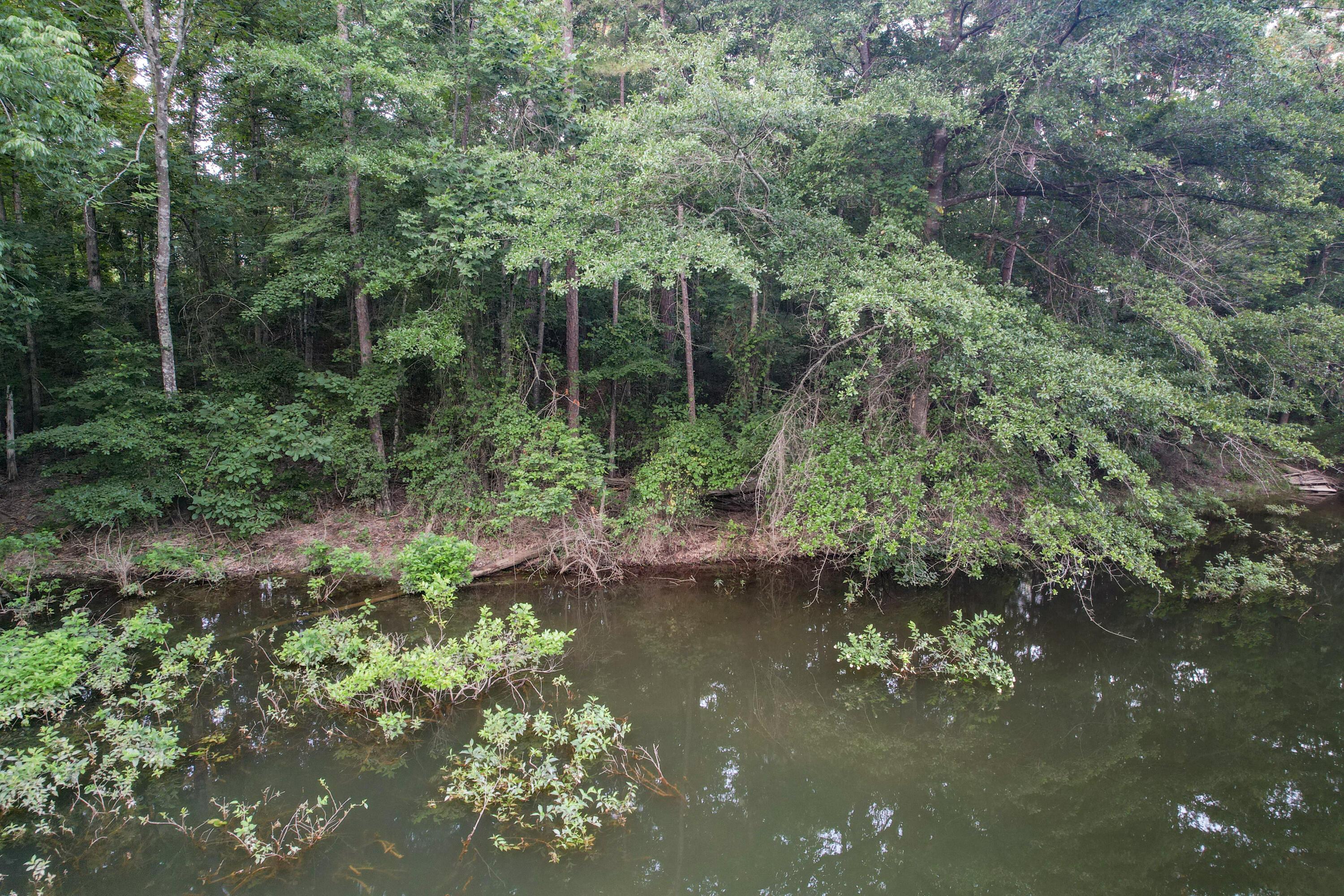 Lot 2 Pinedale Shores Road Jasper, AL 35503 - Photo 14 of 24 Gallery Image 14