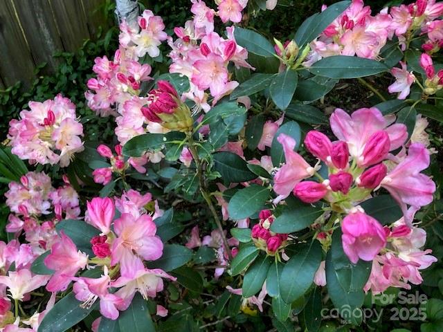 9 Glen Meadows Road Arden, NC 28704 - Photo 37 of 39 Gallery Image 37