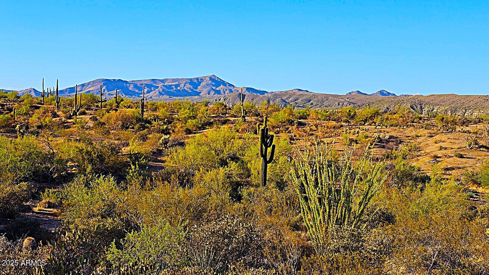 142-x2 East Montello Road Scottsdale, AZ 85262 - Photo 13 of 39 a view of a city