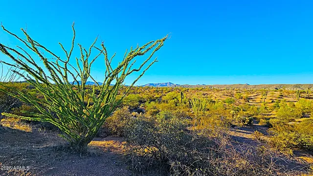 a view of a swimming pool with a yard