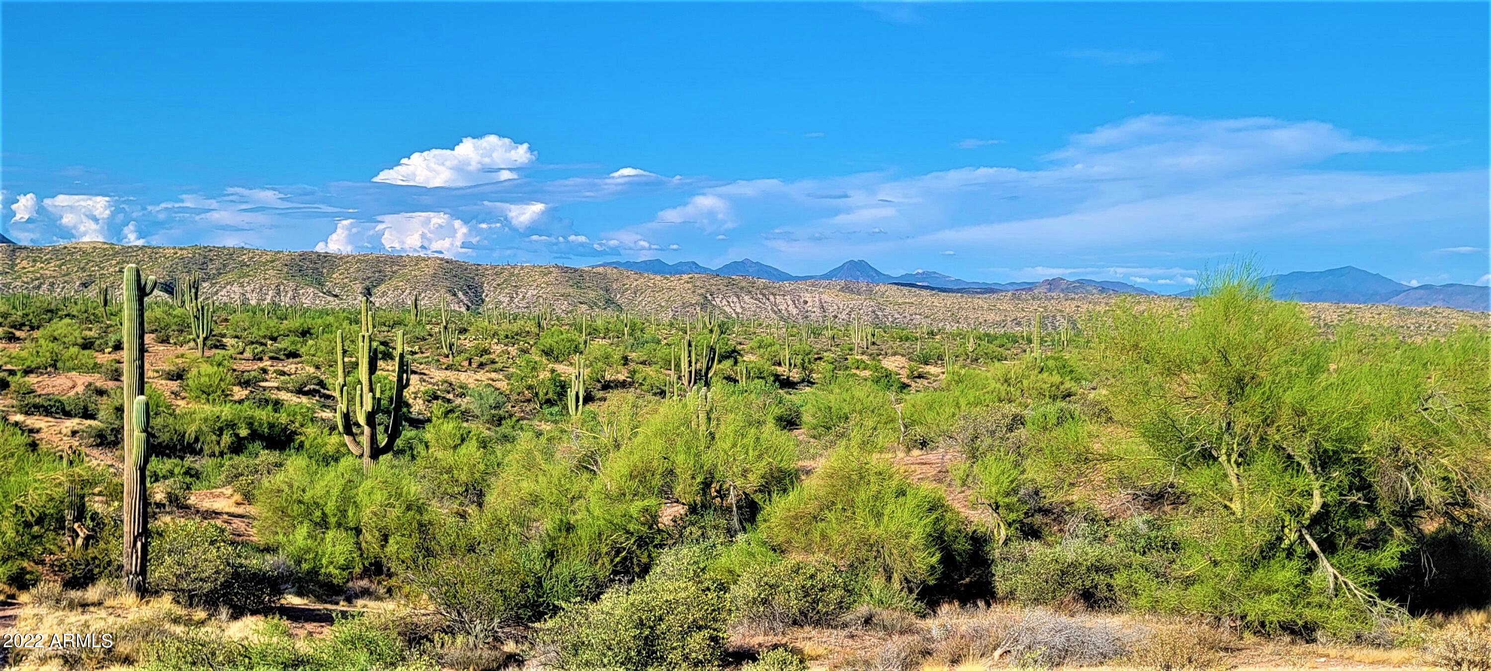142-x2 East Montello Road Scottsdale, AZ 85262 - Photo 20 of 39 a view of a city with lush green forest