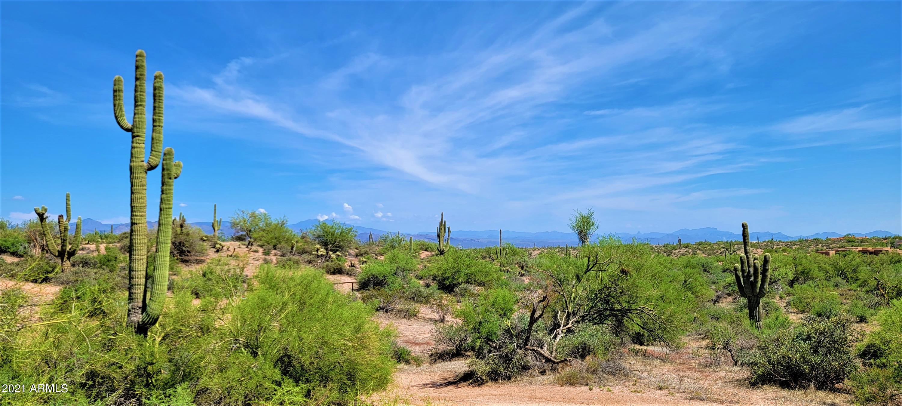 142-x2 East Montello Road Scottsdale, AZ 85262 - Photo 23 of 39 a view of a garden