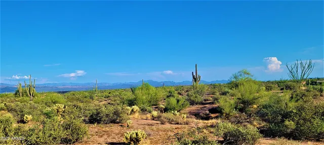 a view of a back yard of the house