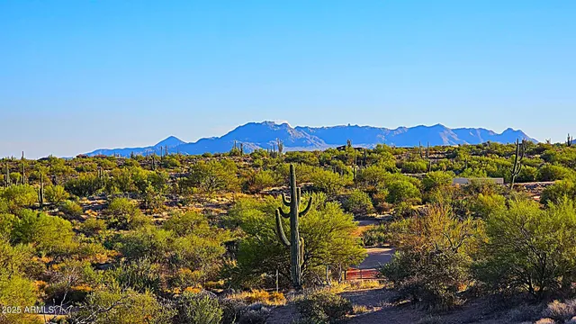 a view of a garden with a small yard