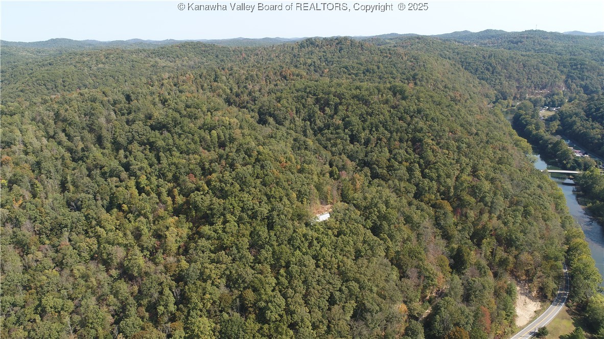 0 Elk River Road Procious, WV 25164 - Photo 15 of 24 Gallery Image 15