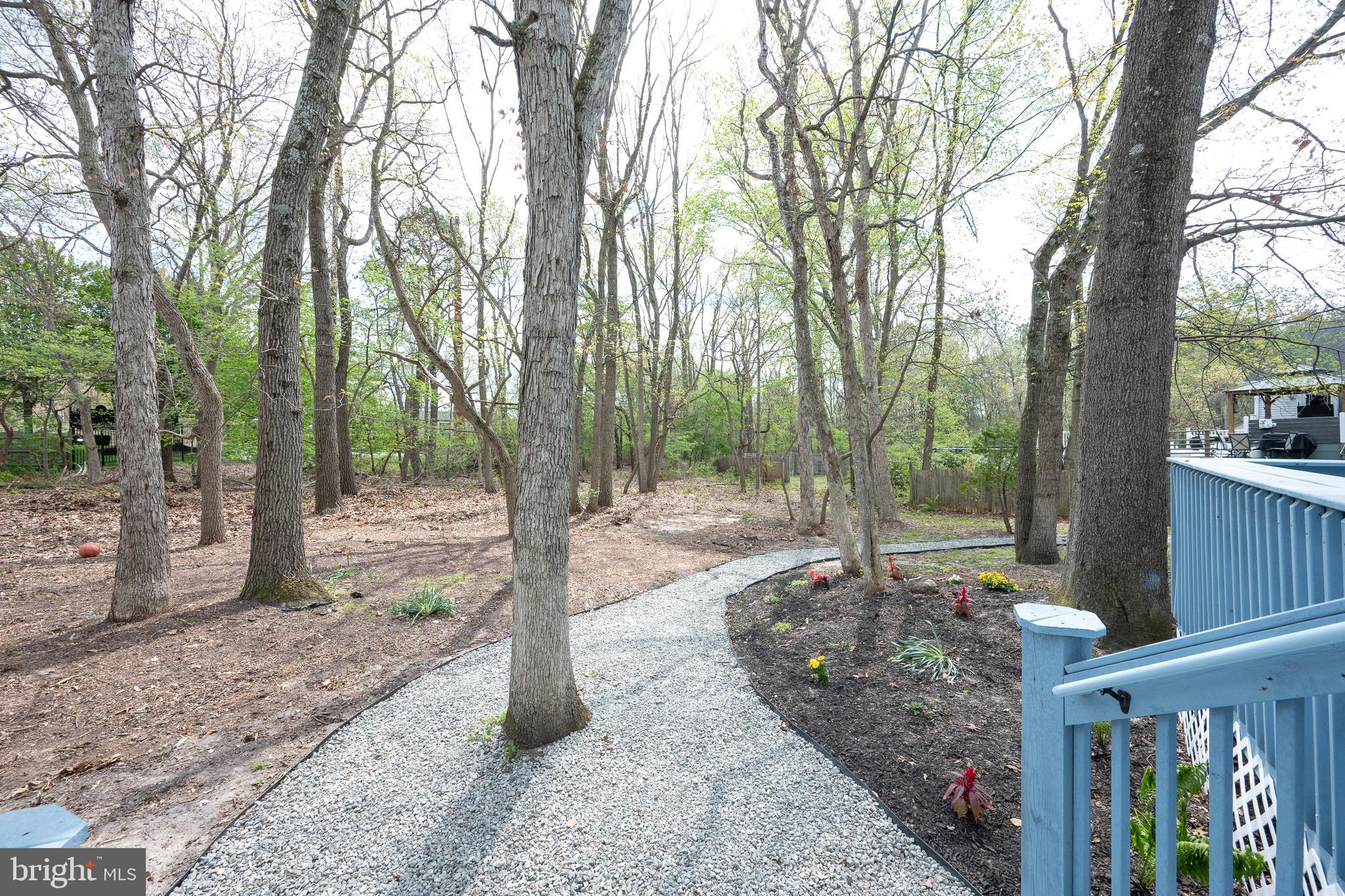 3 Slalom Court Pine Hill, NJ 08021 - Photo 43 of 47 a backyard of a house with lots of green space