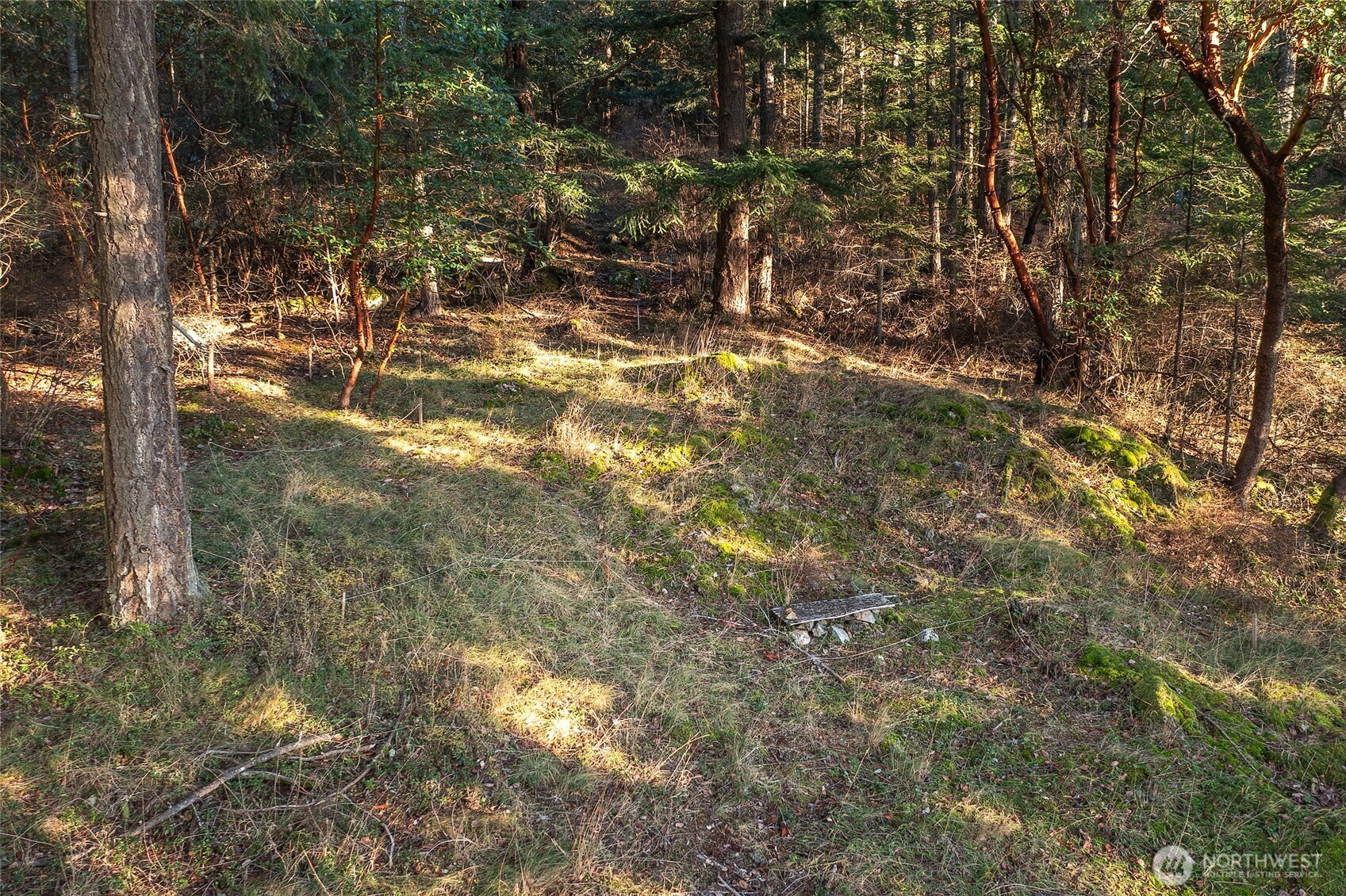 558 Buck Mt Road Orcas Island, WA 98245 - Photo 14 of 22