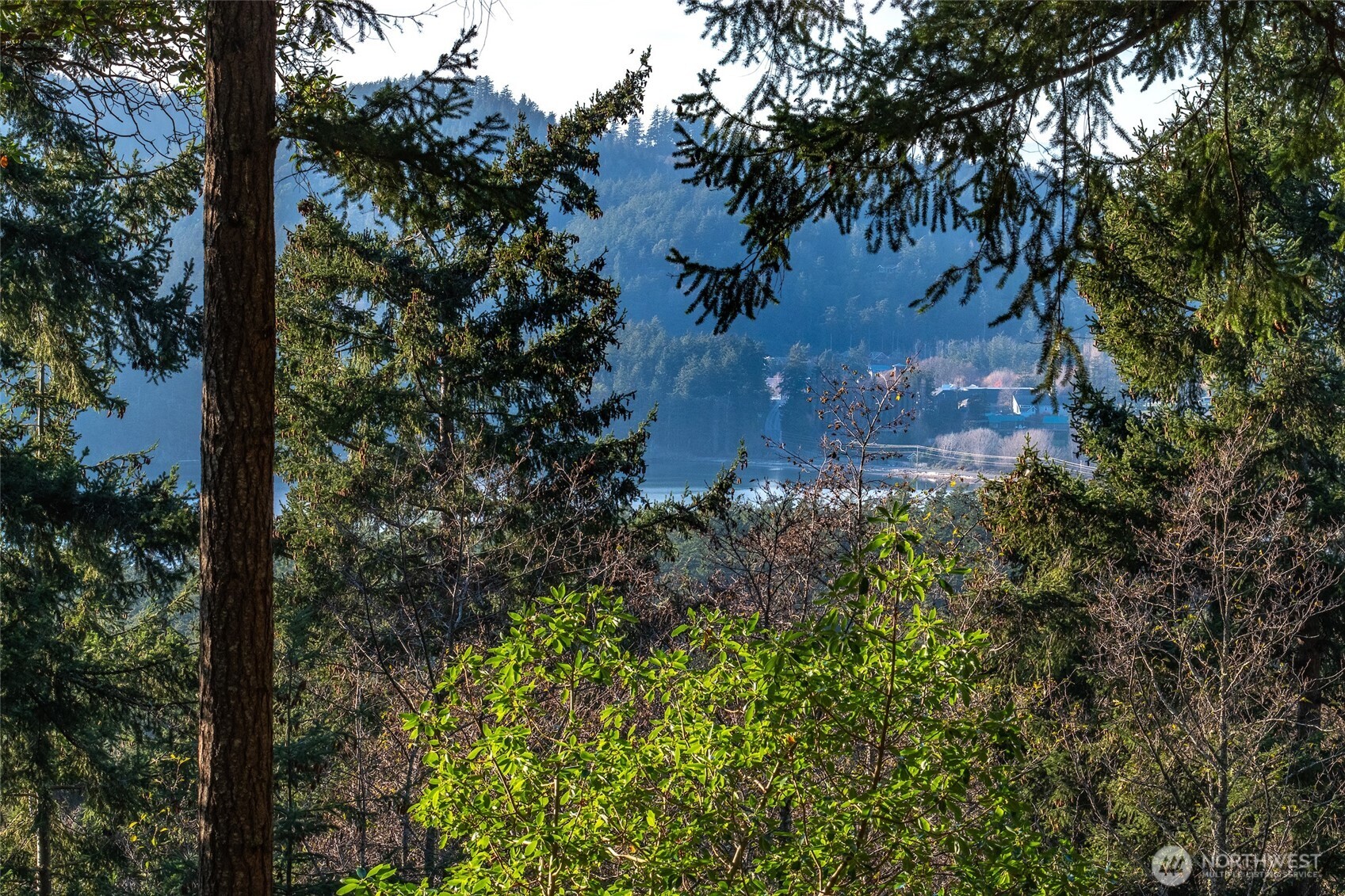 558 Buck Mt Road Orcas Island, WA 98245 - Photo 16 of 22