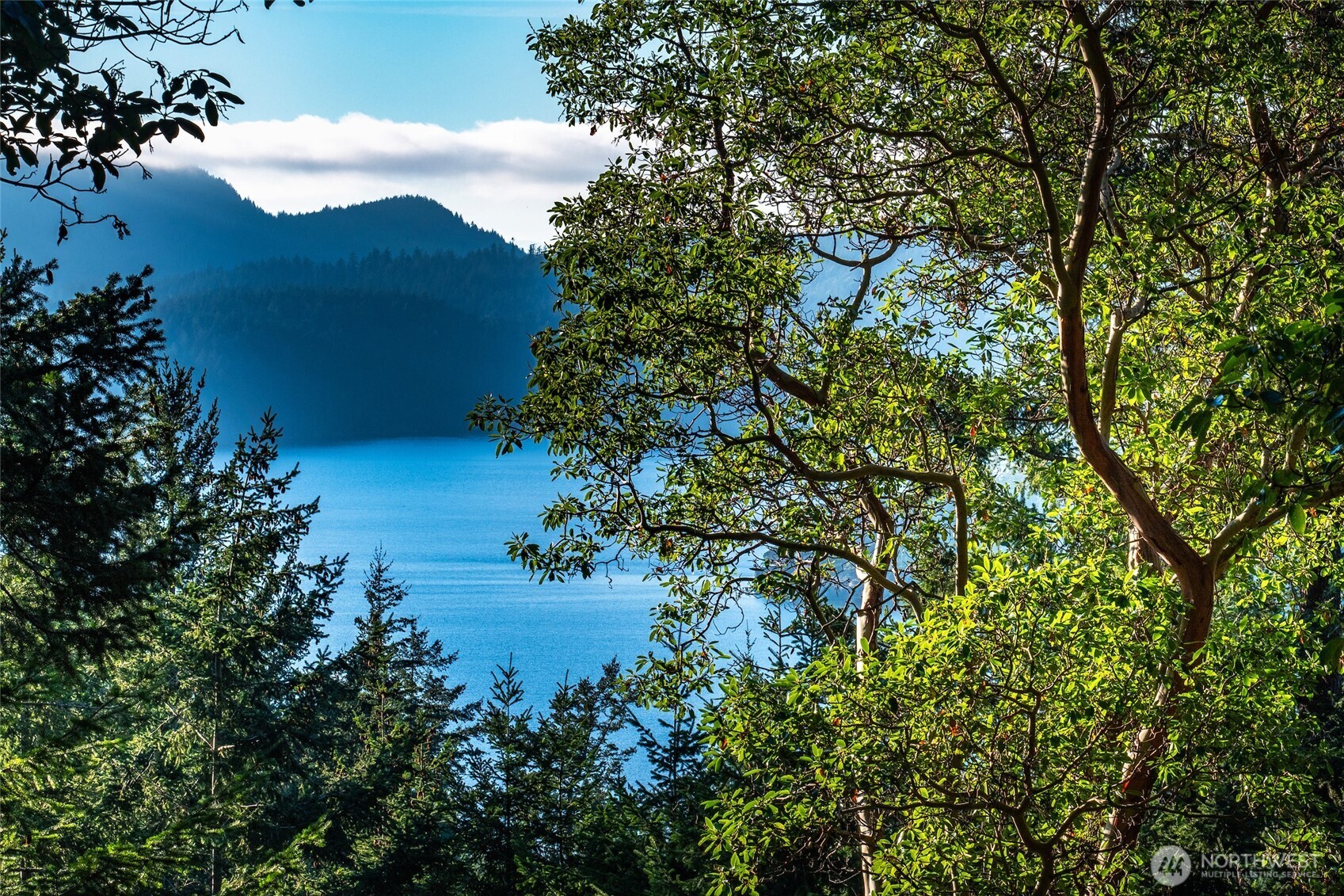 558 Buck Mt Road Orcas Island, WA 98245 - Photo 17 of 22