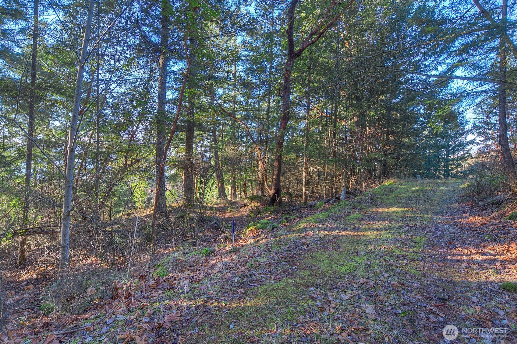 558 Buck Mt Road Orcas Island, WA 98245 - Photo 18 of 22