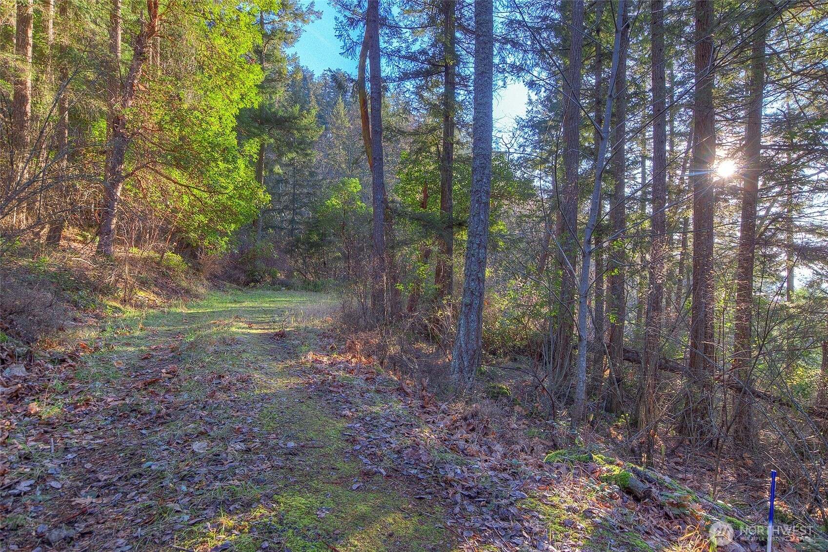 558 Buck Mt Road Orcas Island, WA 98245 - Photo 19 of 22