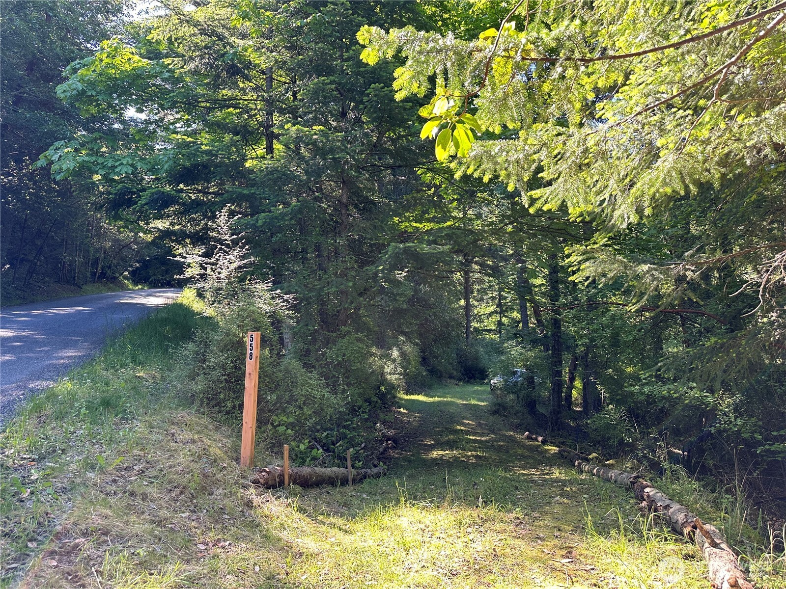 558 Buck Mt Road Orcas Island, WA 98245 - Photo 21 of 22