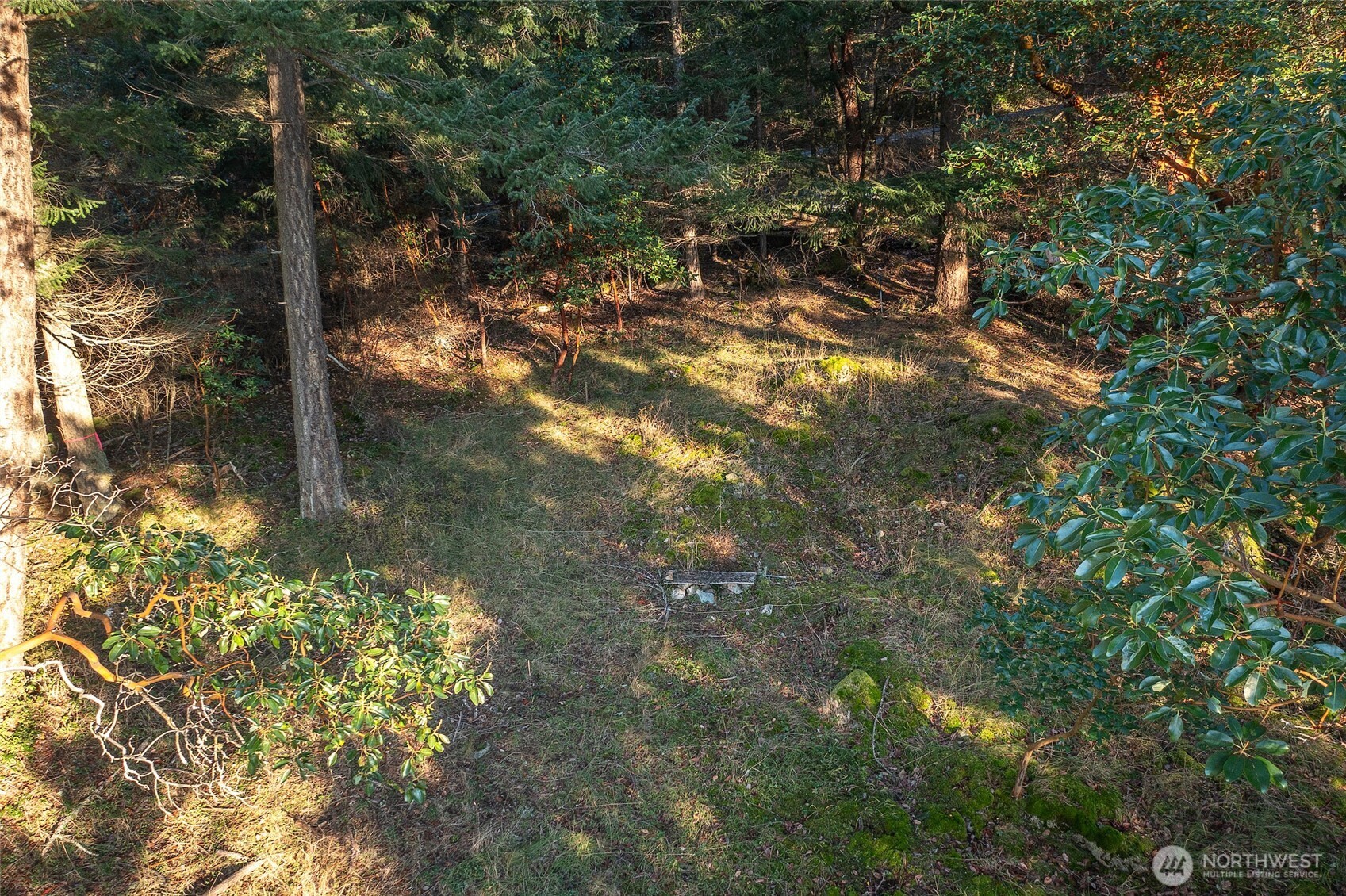 558 Buck Mt Road Orcas Island, WA 98245 - Photo 6 of 22