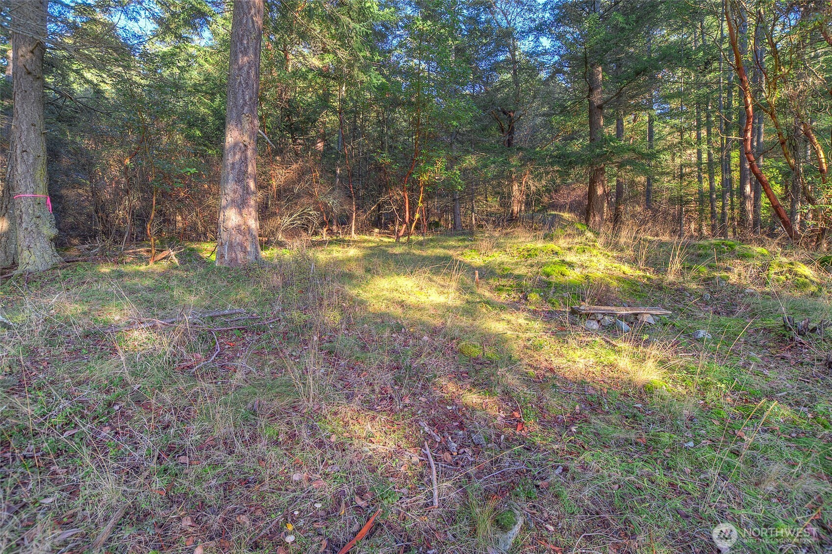 558 Buck Mt Road Orcas Island, WA 98245 - Photo 7 of 22