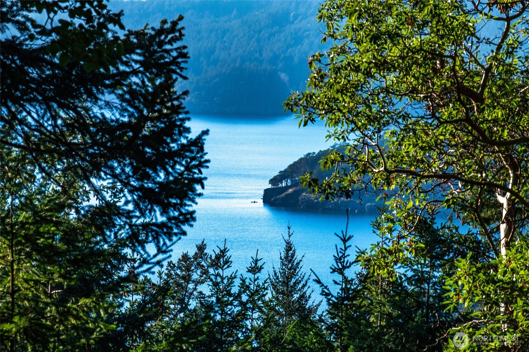 558 Buck Mt Road Orcas Island, WA 98245 - Photo 9 of 22