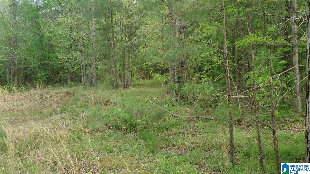 0 Mudd Street Ohatchee, AL 36271 - Photo 12 of 20