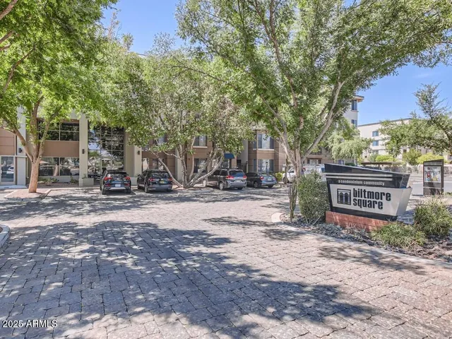 a living room with furniture a window and a potted plant