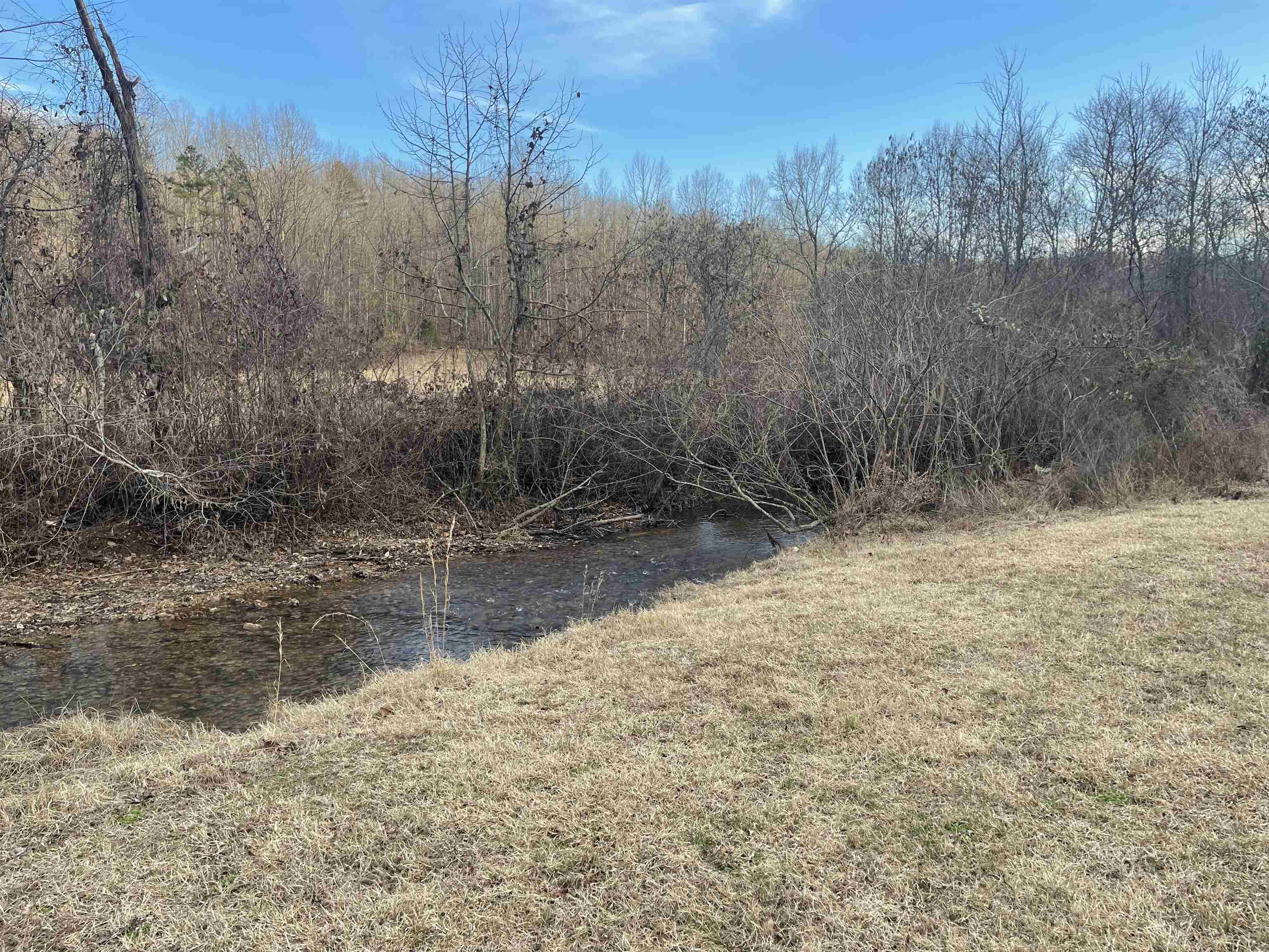 1740 Cr 187 Road Waterloo, AL 35677 - Photo 11 of 18 a view of a yard