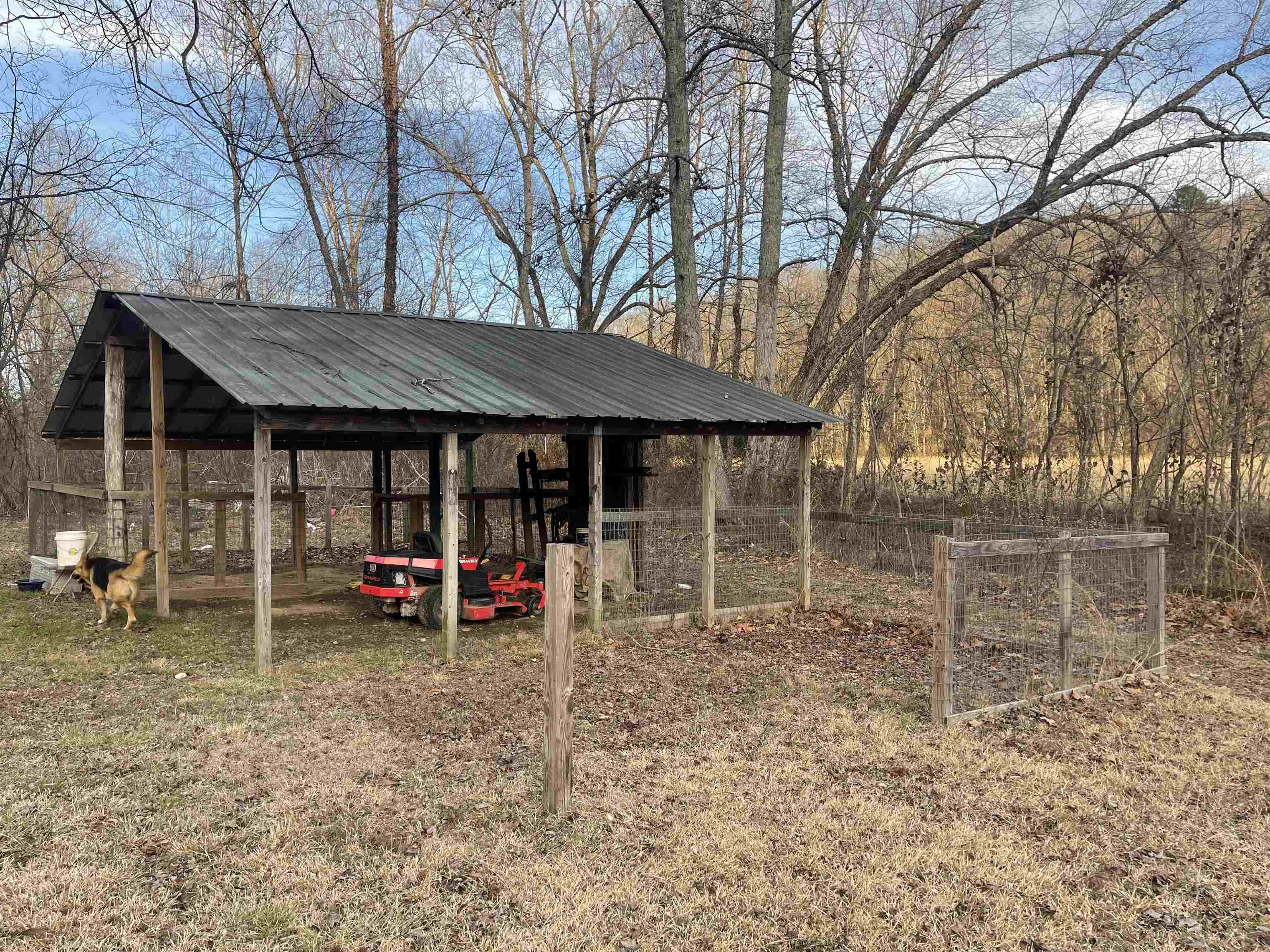 1740 Cr 187 Road Waterloo, AL 35677 - Photo 13 of 18 a view of a house with backyard