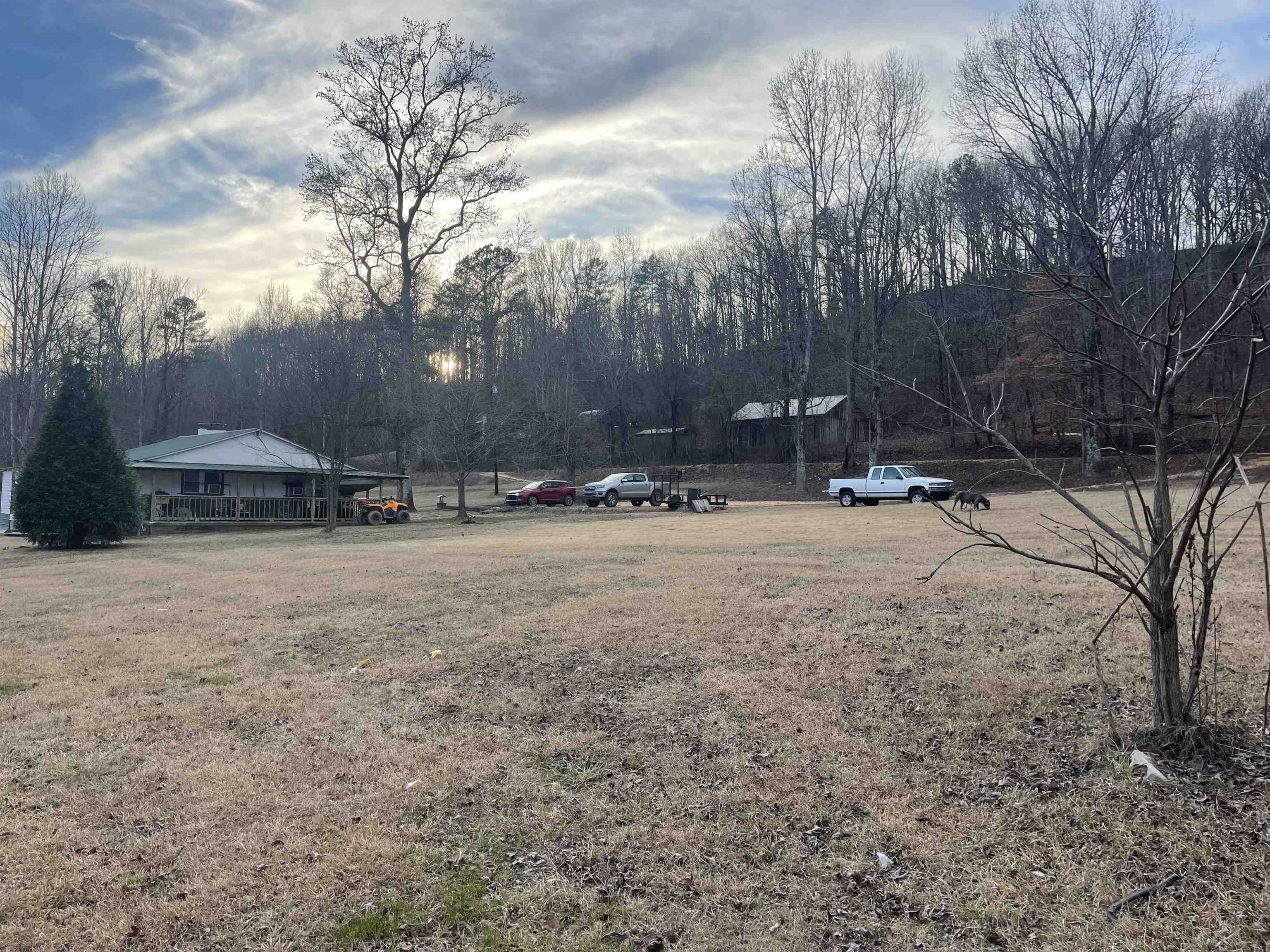 1740 Cr 187 Road Waterloo, AL 35677 - Photo 15 of 18 a view of outdoor space with trees