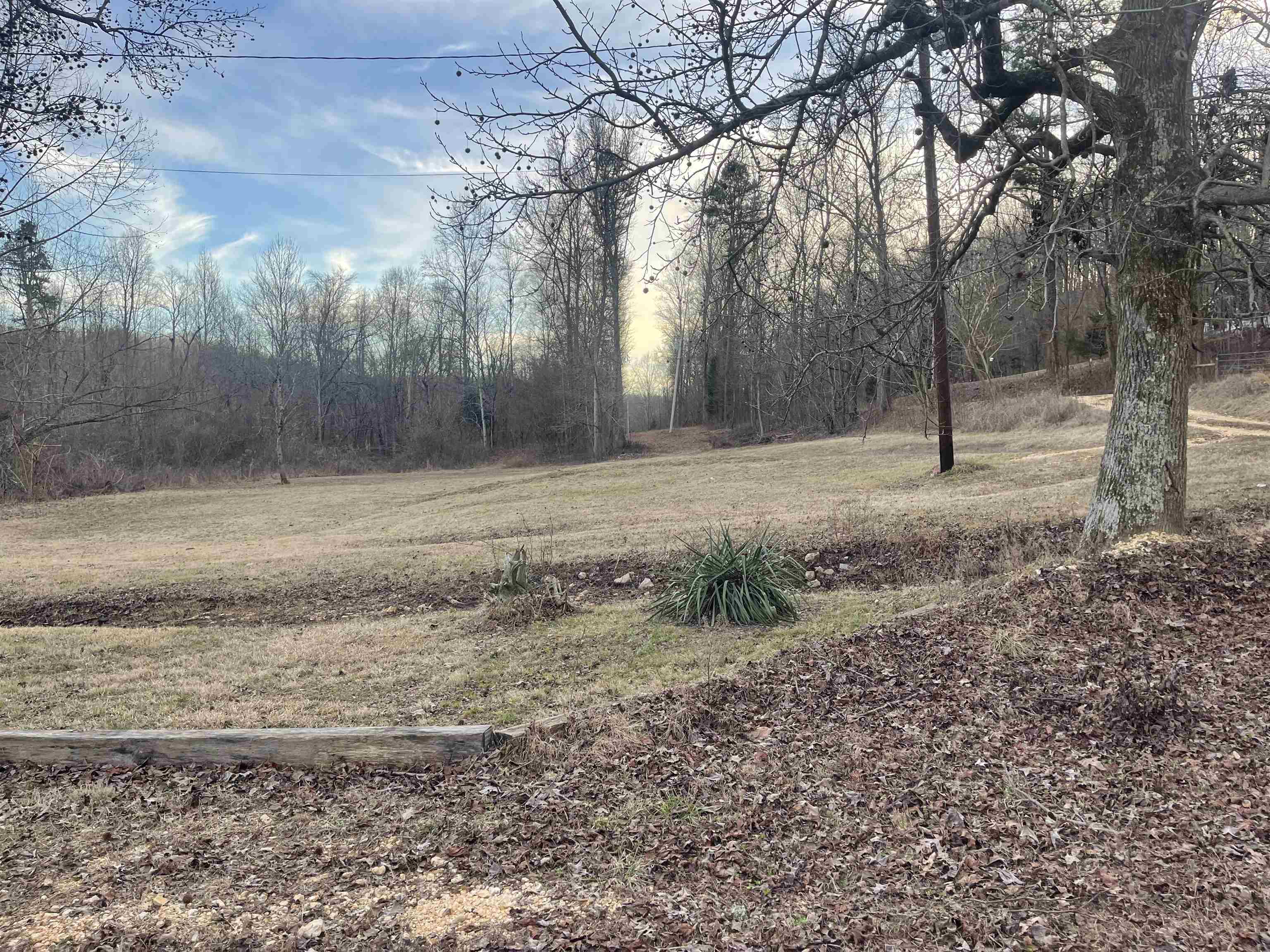 1740 Cr 187 Road Waterloo, AL 35677 - Photo 17 of 18 a view of a yard with trees
