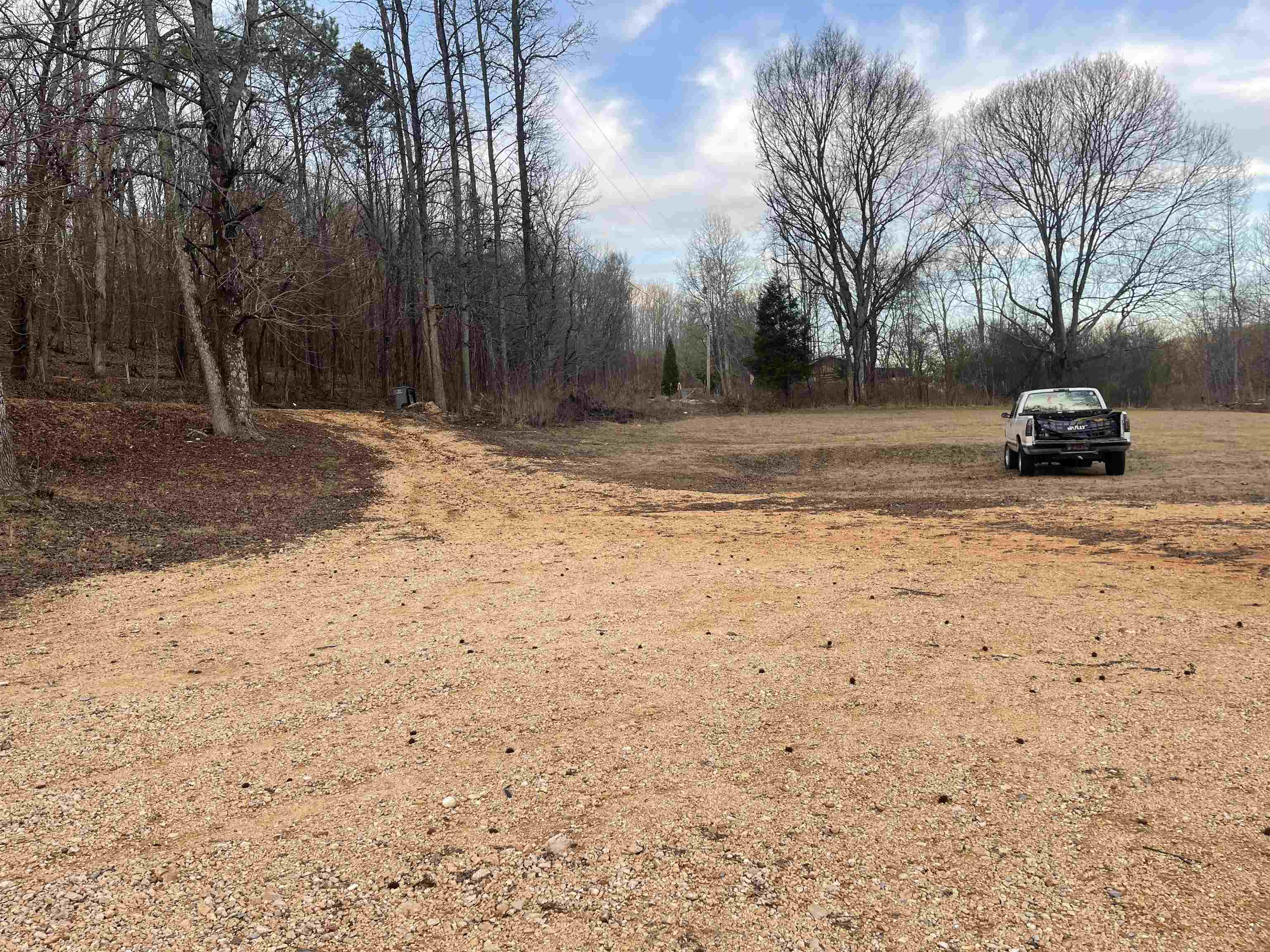 1740 Cr 187 Road Waterloo, AL 35677 - Photo 18 of 18 a view of road with large trees