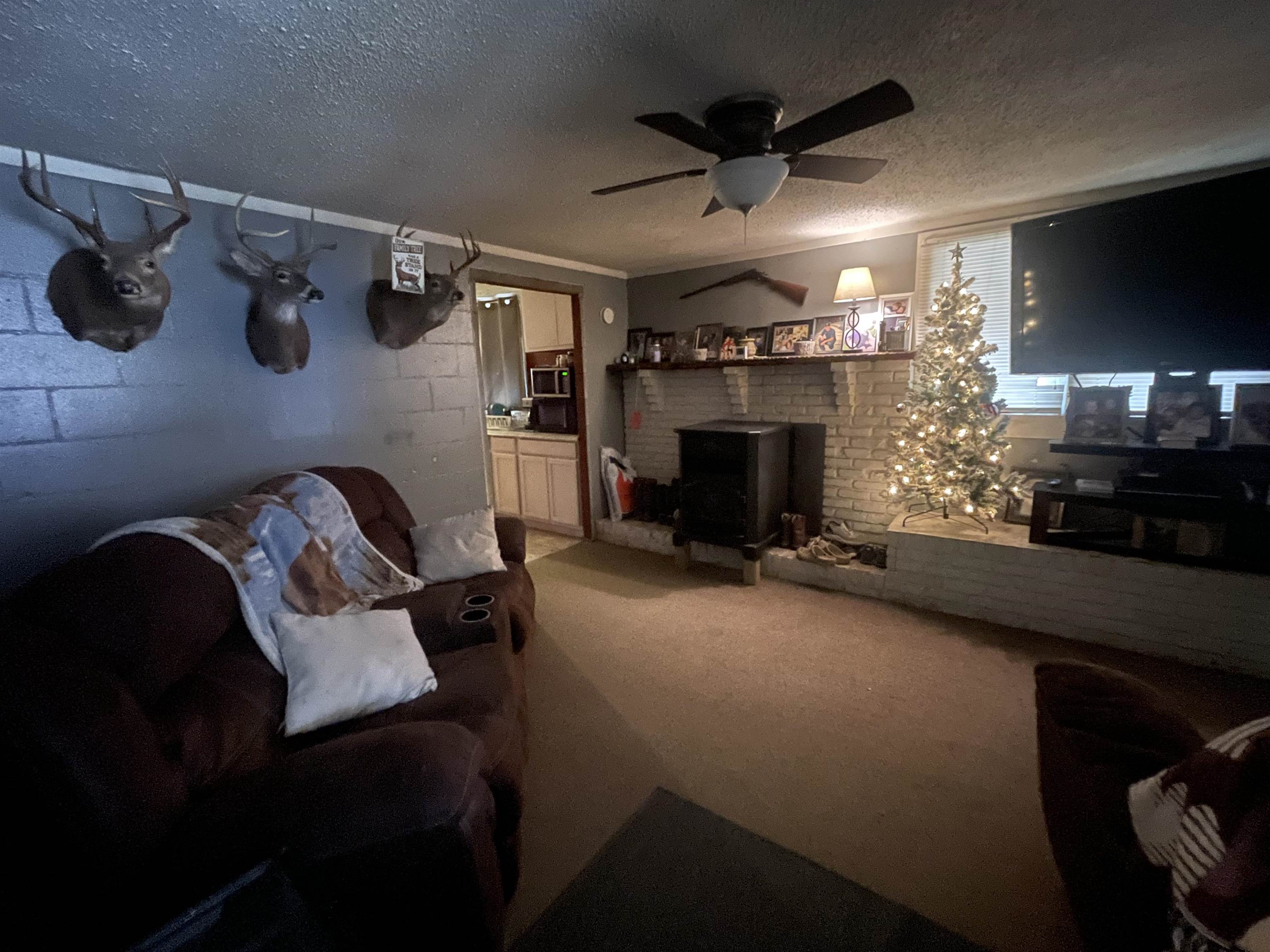 1740 Cr 187 Road Waterloo, AL 35677 - Photo 3 of 18 a living room with furniture and a fireplace