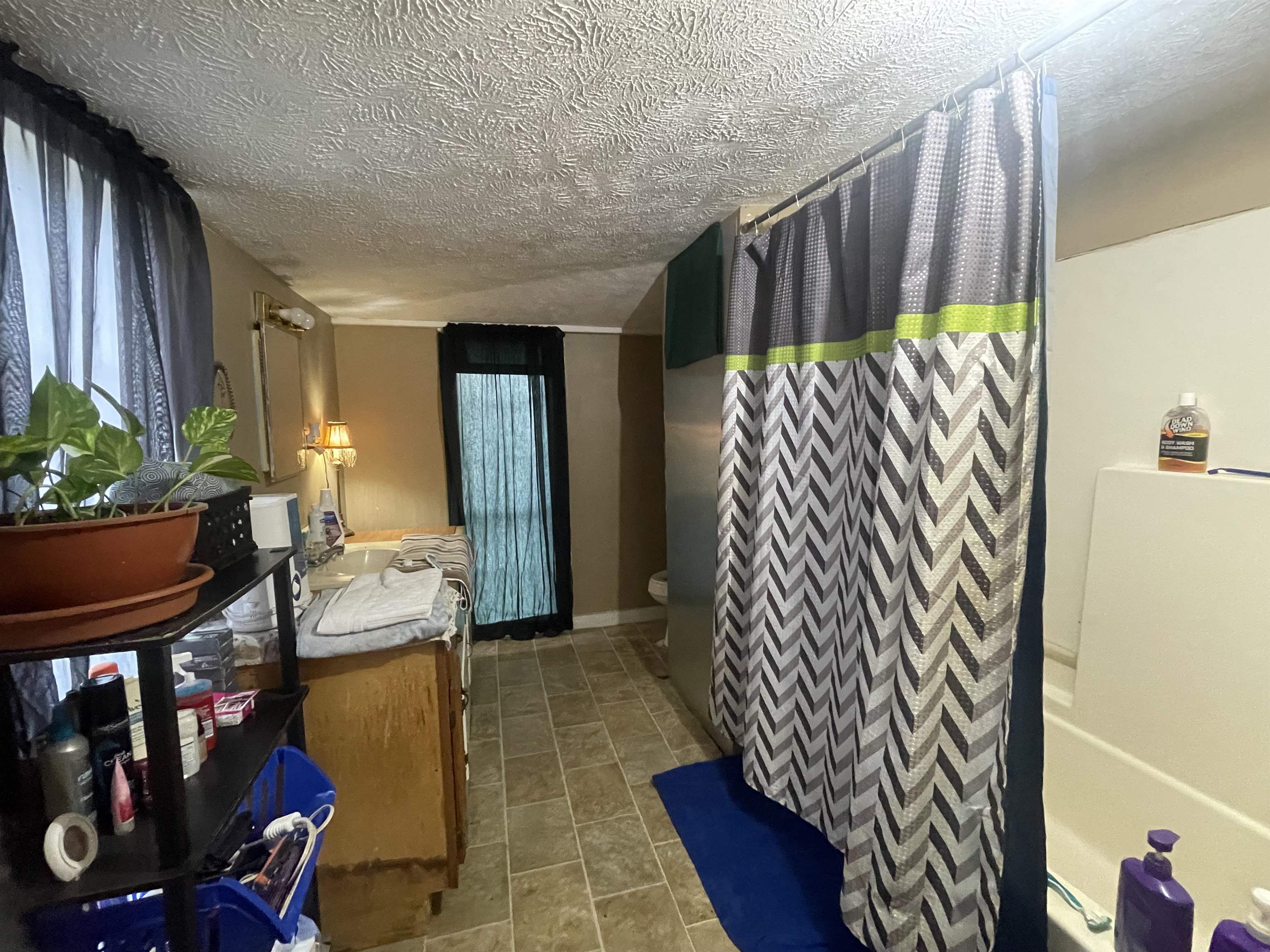 1740 Cr 187 Road Waterloo, AL 35677 - Photo 6 of 18 a living room with furniture and a potted plant