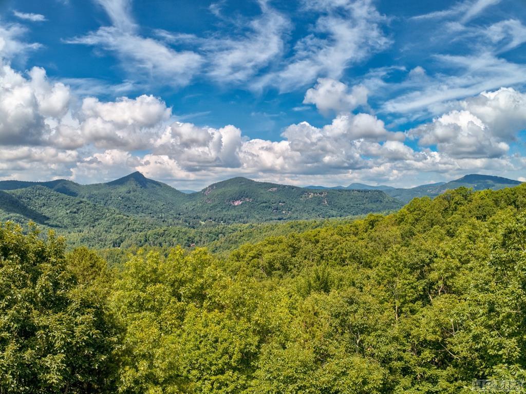 142 Eagle Ridge Road, Unit 2305 Sapphire, NC 28774 - Photo 1 of 44 Gallery Image 1